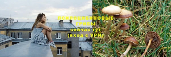 меф Алексеевка