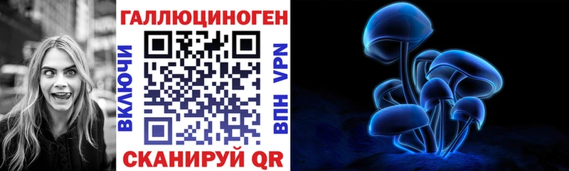 где купить   Заозёрный  Псилоцибиновые грибы мухоморы 